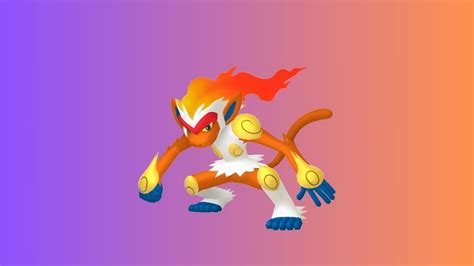 mega infernape|infernape weakness.